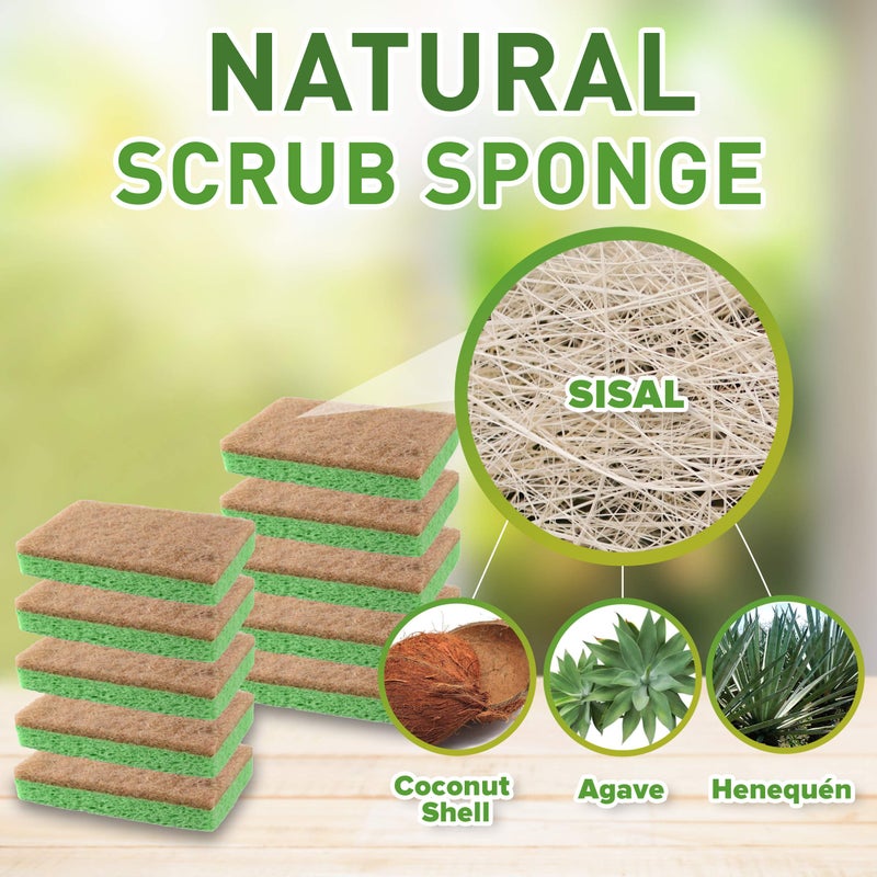 SCRUBIT 24 Pack Natural Sponges - Biodegradable Compostable Cellulose and Coconut Natural Sponges for Dishes, Eco Friendly Non Toxic Kitchen Sponge - Image 2
